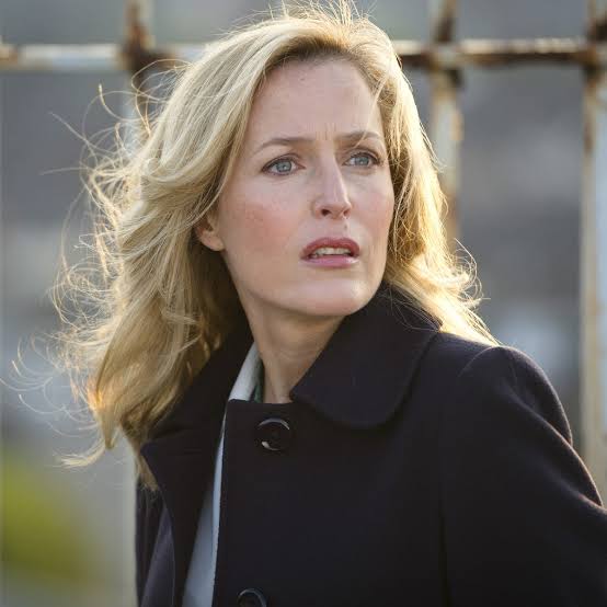 Gillian Anderson 'The Fall' Q&A