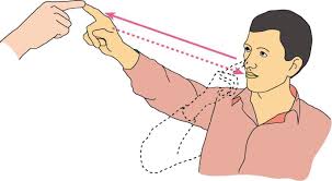 Image result for Cerebellar Function Test