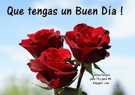 Que Tengas Un Buen Dia 3 Rosas Rojas Mejores Imagenes De Buenos Dias Buenos Dias Bonita Fotos Buenos Dias