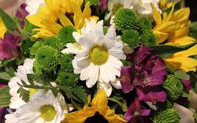 I Tuo Fiorista A Roma Basta Chiamarci 06 3054546 Consegna Entro Gra Di Roma E Gratis Www Laflorealedis Fiori Conseg Fiorista Fiori Composizioni Floreali