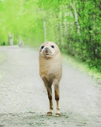 It's fun to imagine these animal hybrids but seeing them is even better. Pin On Animals Are Awesome