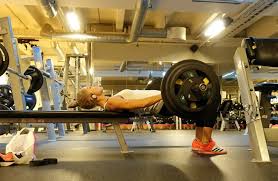 Flye 2.8.3 release (10 feb 2020). Kristine Aure Mandagens