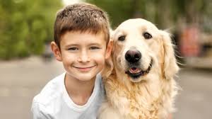 Watching your dog thrive and knowing exactly what he's eating can be. Best Low Fat Dog Foods 2021 Dog Food Advisor