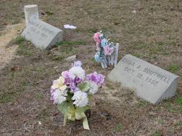 Willie Edward Boutwell (1927-2002)