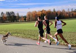 It ended with a european record for the latter at 4.50.04. Henrik Ingebrigtsen Vant Hytteplanmila Pa Ny Loyperekord Www Sportsmanden No