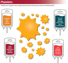 Image result for Platelet Transfusion