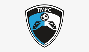 Mexican liga de expansión mx. Tampico Madero Fc Transparent Png 356x400 Free Download On Nicepng