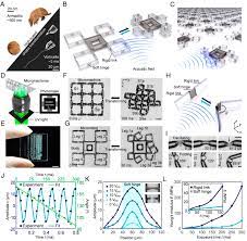 SonoTransformers: Transformable acoustically activated wireless microscale  machines | PNAS