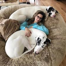 Pin On Animals Dog Products