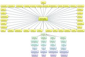 Classification Map Dholes Protect Them While We Still Can