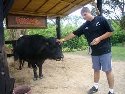 Somos el primer parque temático agropecuario del mundo y. Panaca Park A A Ecoturismo