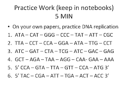 Nucleotide deoxyribose phosphate group dna processes dna replication protein synthesis dna transcription. Dna Replication Day 2 Bell Ringer 5 Min