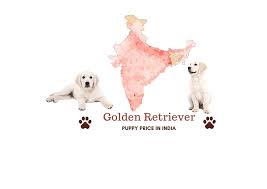 I met the dog when he was around five years old and i thought for sure he was at least 10. Barks In Golden Retriever Puppy Price In India Across All Major Cities