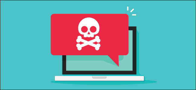 Image result for Computer Viruses"