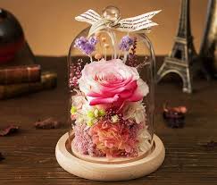 How do you preserve a rose forever? China Whosale Forever Preserved Rose In Dome For Sale Uk China Preserved Rose In Dome And Preserved Roses For Sale Uk Price
