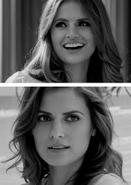 Stana Katic is a Canadian-American actress best known for her iconic role  as Detective Kate Beckett