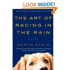 The Art Of Racing In The Rain By Garth Stein Follow Life Love And Struggles Through The Eyes Of Enzo A Beloved Family Book Worth Reading Books Summer Books