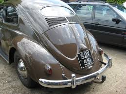 Image result for Medium Brown 1950 Beetle