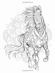 Pin On Top Coloring Page Books Ideas