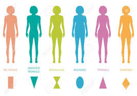 Available in most of files format including 3ds. Female Body Types Anatomy Woman Front Figure Shape Vector Silhouette Royalty Free Cliparts Vectors And Stock Illustration Image 37568665
