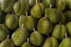 Sebab, aroma kuat buah berduri itu bisa menyebar. Hindari Hal Ini Saat Naik Kereta Api