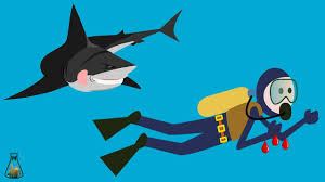 Sometimes you can see a shark, which, at first glance, wanders aimlessly in the water, constantly changing the direction of motion. How Sharks Can Smell Blood Youtube