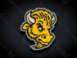 Vintage Colorado Buffaloes Update Classic Colors Colorado Buffaloes Vintage Classic