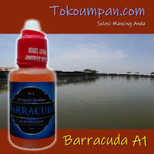 Essen A1 Barracuda Essen Warna Air Kolam