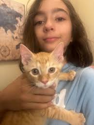5-year-old befriends squirrel in Pittsburgh, PA
