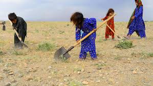 We did not find results for: Unicef Fordert Starkeren Kampf Gegen Kinderarbeit Vatican News