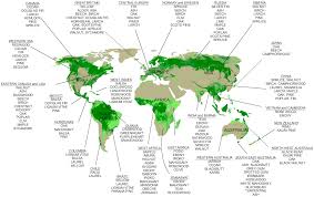 World Map Showing The Distribution Of Forests And Woodlands With The Species Of Trees Grown Forest Landscape Amazing Maps Nature