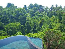 Maybe you would like to learn more about one of these? Organic Architecture On Twitter Ubud Hanging Gardens By William Warren And John Pettigrew Http T Co Lk3wsoihdz Http T Co Adrzra3th8