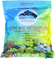 Below are some pointers to getting the desired soil for healthy cacti 12 Best Soils For Succulents To Help Them Thrive Best Garden Tips