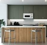 Emerald Green Kitchen Cabinets | Matte Frameless Cabinets ...