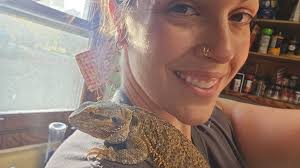 bearded dragons as pets bring joy