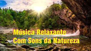 Música relaxante com sons da natureza, riacho, pássaros e animais da floresta. Musica Relaxante Com Sons Da Natureza Relaxing Music With Sounds Of Nature Youtube
