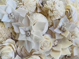 We would like to show you a description here but the site won't allow us. Sola Flowers Wholesale