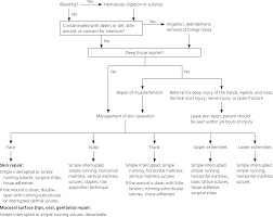 laceration repair a practical approach american family