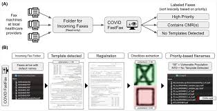 Typical triage tag, with tear off sections for decontamination and patient tracking. Scientists Develop A Real Time Covid 19 Triage System To Help Contain Its Spread