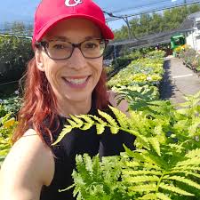 Budd Gardens Perennials and Hostas