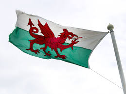 The traditional flags & creatures of wales. The Welsh Flag Has Been Voted The Coolest Looking Flag In The World North Wales Live