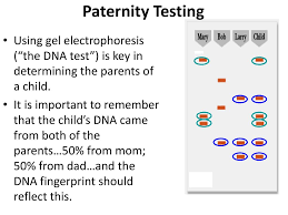 Crime scene investigation, missing person identification, paternity testing, diagnosing genetic disorders, species identification and many others. Notepack 34 Aim Now That We Know A Lot About Dna What Can We Do With This Information Do Now Answer The Following Questions Why Is Dna Important Ppt Download
