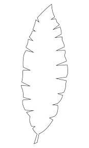 Print the picture palm leaf. Printable Palm Leaf Outline Compartilhado Com O Dropbox Leaf Template Leaf Template Line Drawing Pics 550x550 Palm Leaf Outline 1500x1159 Templates Palm Leaf For Template Printable Sang Hook
