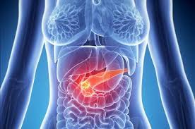 L'expression cancer du pénis désigne plusieurs types de tumeur maligne touchant les cellules de la peau du gland (dans un cas sur deux) ou du reste du pénis, ou les tissus (internes) du pénis. Cancer Du Pancreas Qu Est Ce Que Le Cancer Du Pancreas Notrefamille Com