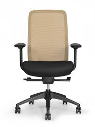 Eurotech Vera Mesh Back Ergonomic Chair In 2020 Ergonomic Chair Chair Office Seating