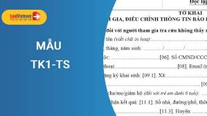 Link tờ khai y tế. Máº«u Tk1 Ts Máº«u Tá» Khai Tham Gia Bhxh Bhyt Má»›i Nháº¥t