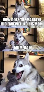Inspired by the 'doge' meme of a shiba inu dog breed, the digital currency is now worth us60c per coin. Bad Pun Dog Meme Imgflip
