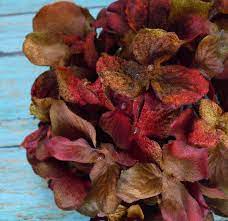 Silk Flowers One Hydrangea Head In Burgundy Rust Red Brown Etsy Green Hydrangea Artificial Flowers Silk Flowers