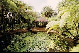 Jardin De Balata Parc Jardin Fort De France 97200