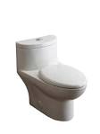 Tofino One Piece Dual Flush Toilet - American Standard